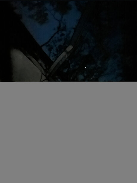 Ren amp lt3 leaked onlyfans.