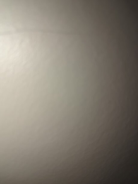 Damoose82 onlyfans leaks free