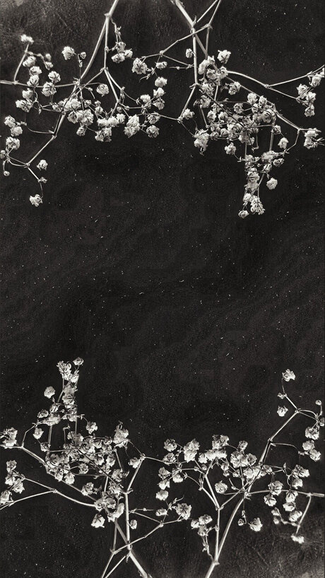 Cendre_ new onlyfans leaks