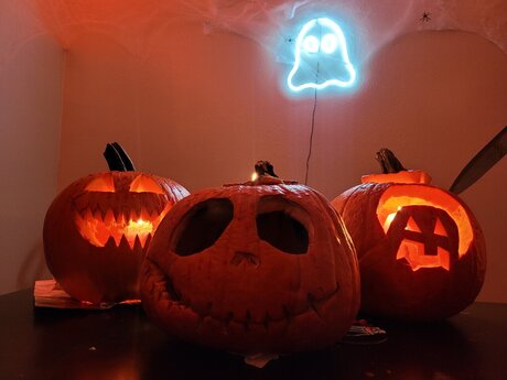 Belle Winter free onlyfans