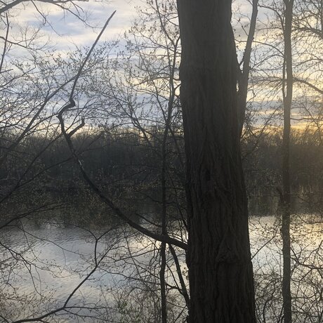 ChosenOne onlyfans desnuda