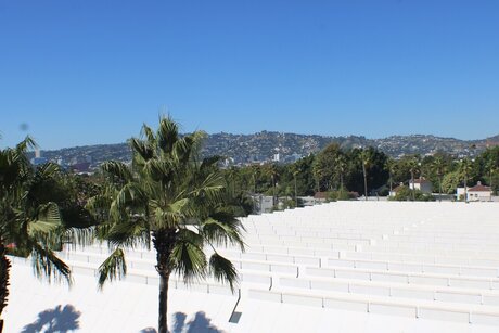 Lau Kang onlyfans strip