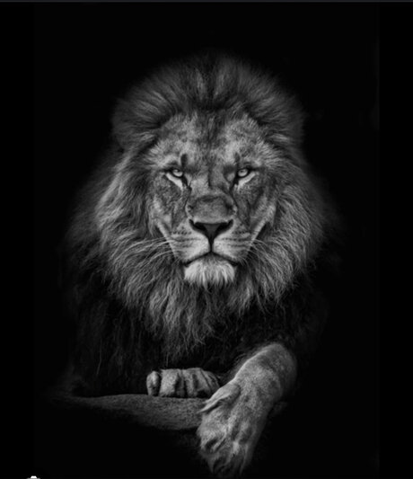 Cachondo19 onlyfans leak new