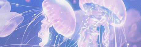 Okami onlyfans photos