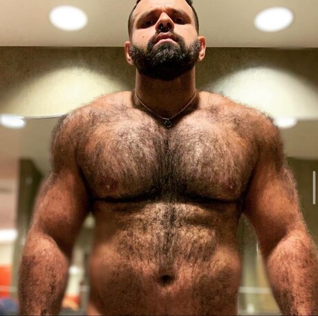 Brazilian big bear nudes onlyfans
