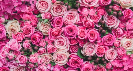 Jeunique Riedl leaked onlyfans naked