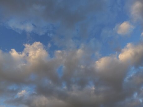 Loring leaked only fans porn