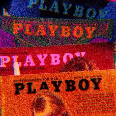 L koi onlyfans leak naked