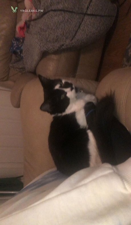 Vicky Escobar only fans