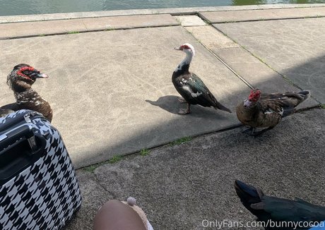 bunnycocoa feet onlyfans