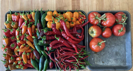 GardenPapi nude onlyfans leaked