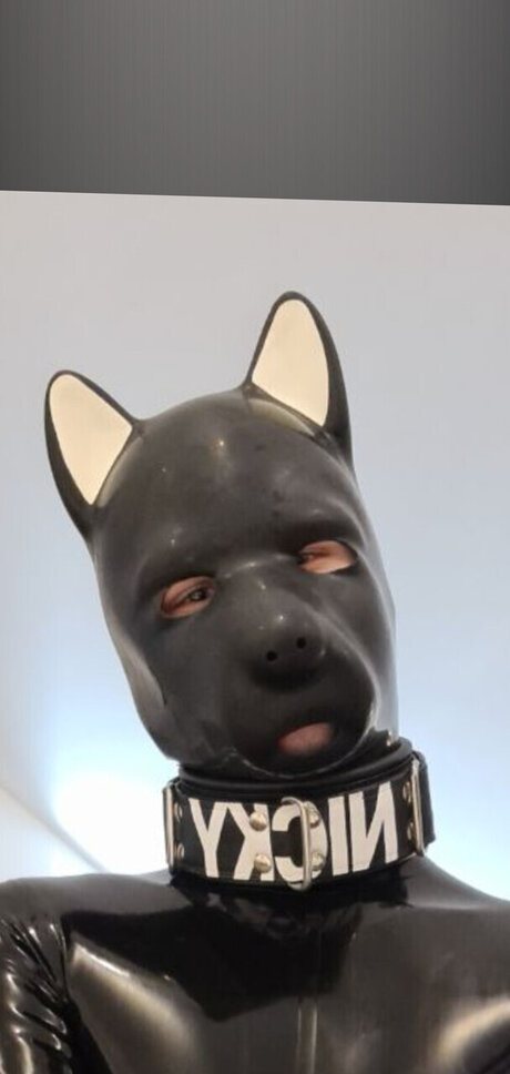 PupNicky onlyfans free porn