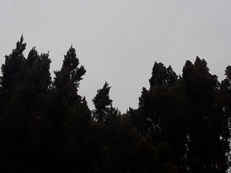 ChemicalXBoy onlyfans ass