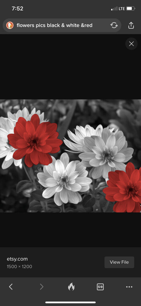 Reginalynn onlyfans nude leaked