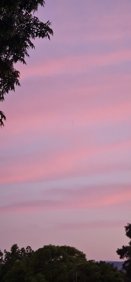 Holla Nola nudes onlyfans