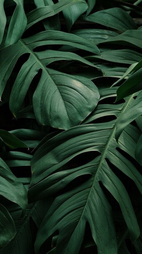 Britney_ onlyfans pics leaked