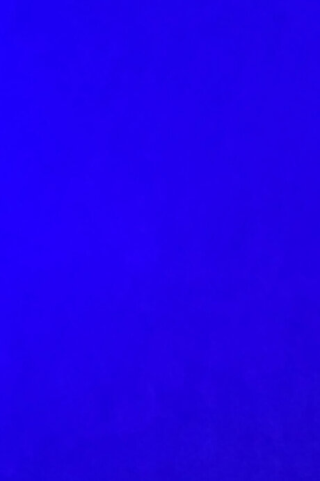 Shy girl amp lt3 tits onlyfans