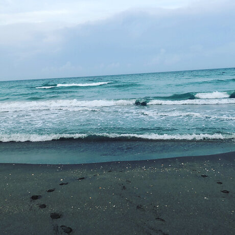 Rene Cawston topless onlyfans