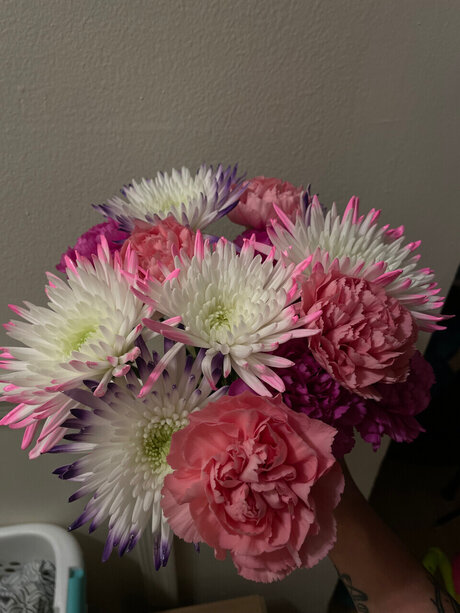 Alana hope_ only fans xxx