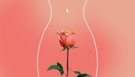 BabyT_ onlyfans fotos