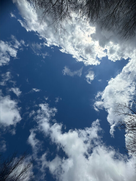 Hoe2WHOLESOME only fans pics