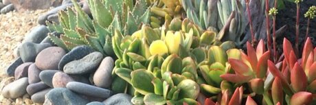 Nova Grace onlyfans sex