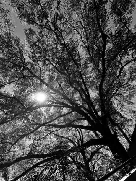 retr04ctive only fans pictures