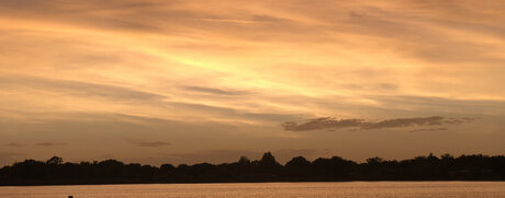 Charli Lane onlyfans sexy