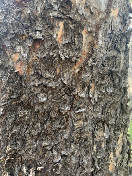 Urgeman377 free onlyfans