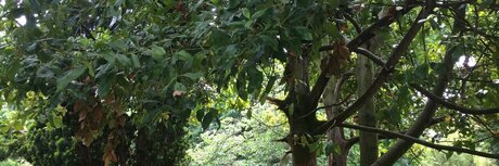 Curt s Acting Naughty onlyfans nude content