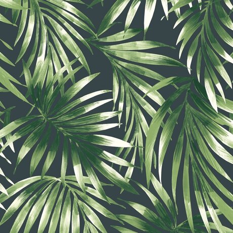 _FOOT GODDESS_ onlyfans de