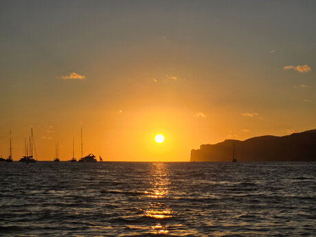 Cruisinkat onlyfans porn leaks