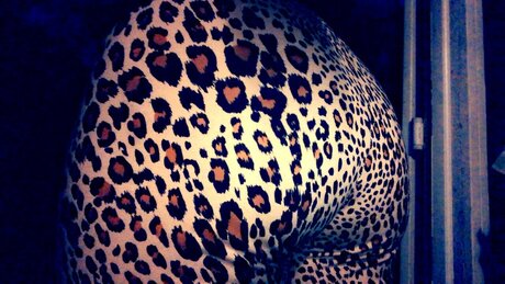 NotYourAngel leaked nude onlyfans