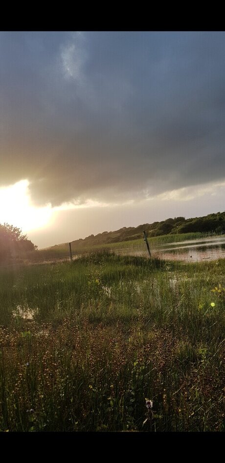 EliasYoung onlyfans naked