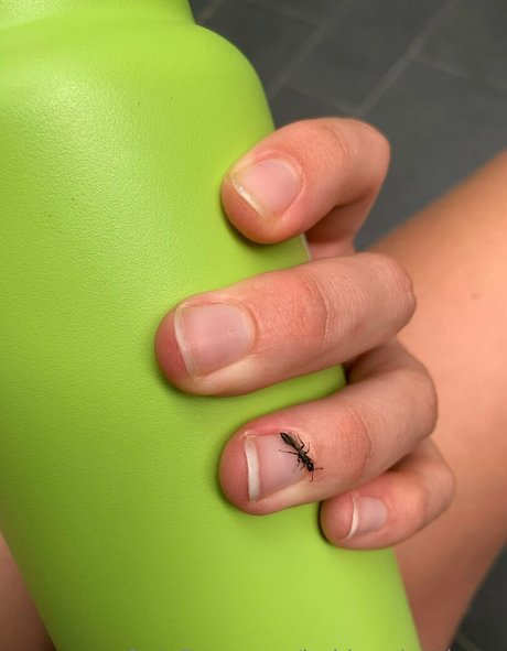 bakinggiantbuns leaked onlyfans sex