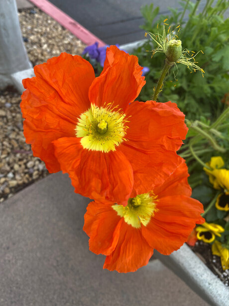 One Love Naked Yoga onlyfans leak fuck