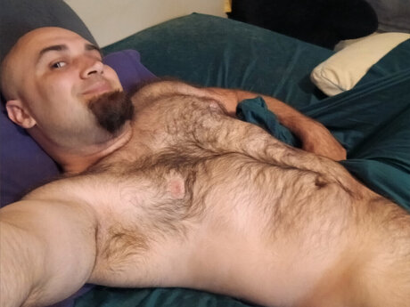 Bearlyconscious en onlyfans