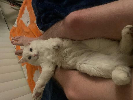 Michi Fink onlyfans leak naked