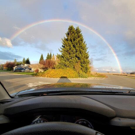 Rooster onlyfans creator