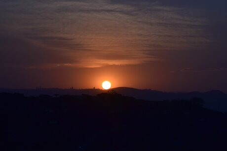 Coach Davis porn onlyfans