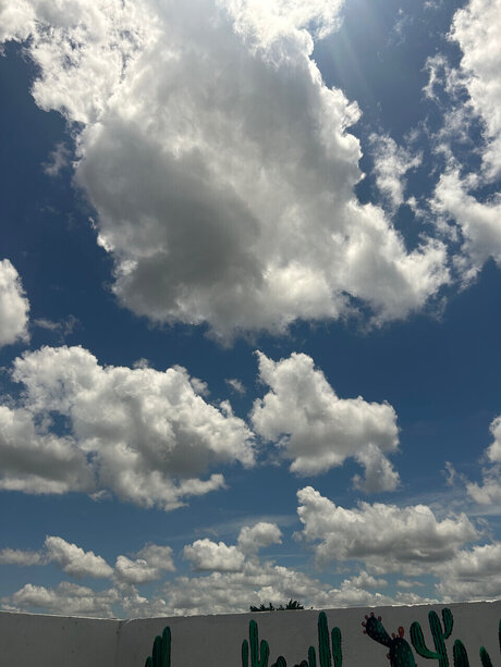 Dany love 22 free only fans