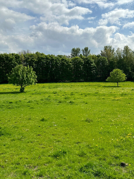 Naughty but Kinky_ hot onlyfans