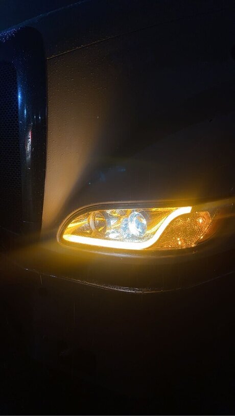 Ceecee DeVille onlyfans xxx