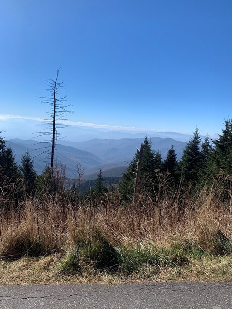 Sexy baddy desnuda onlyfans