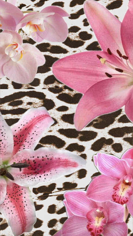 s amp lt3 onlyfans nude pictures