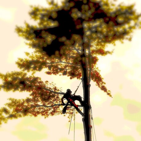 Sayitaintso leak onlyfans nude