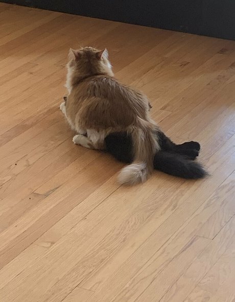 cutiekatw nude onlyfans leaked