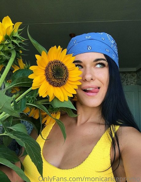 monicaricepromo onlyfans joi