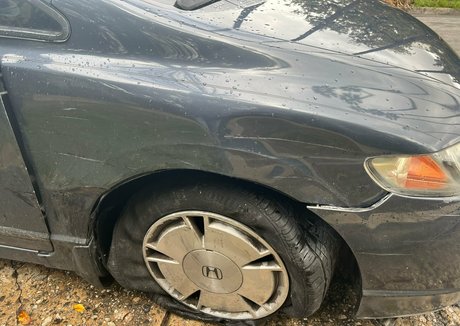 jena larose onlyfans leaked dirtyship