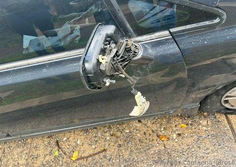 jena larose onlyfans leaks porn